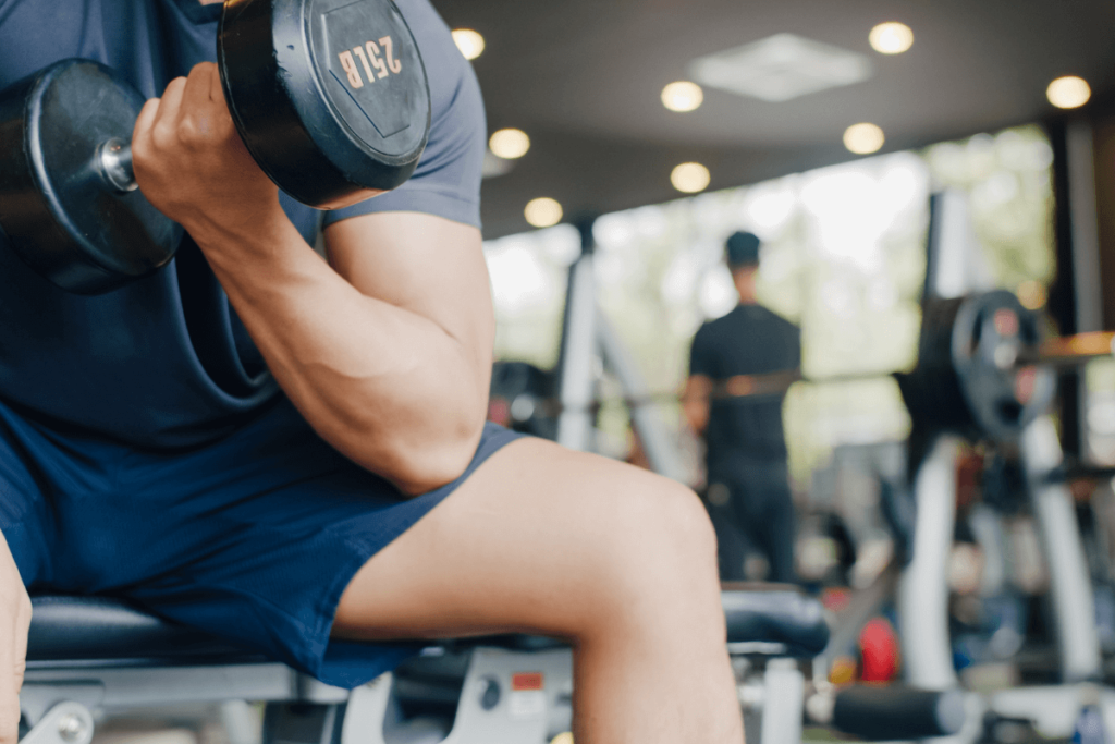 Massa Gorda e Massa Magra: Como Manter o Equilíbrio Perfeito