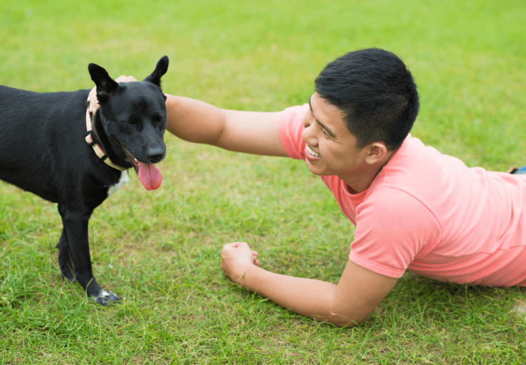 Passear com Cachorro, uma Alternativa de Exercício Leve para Corpo e Mente