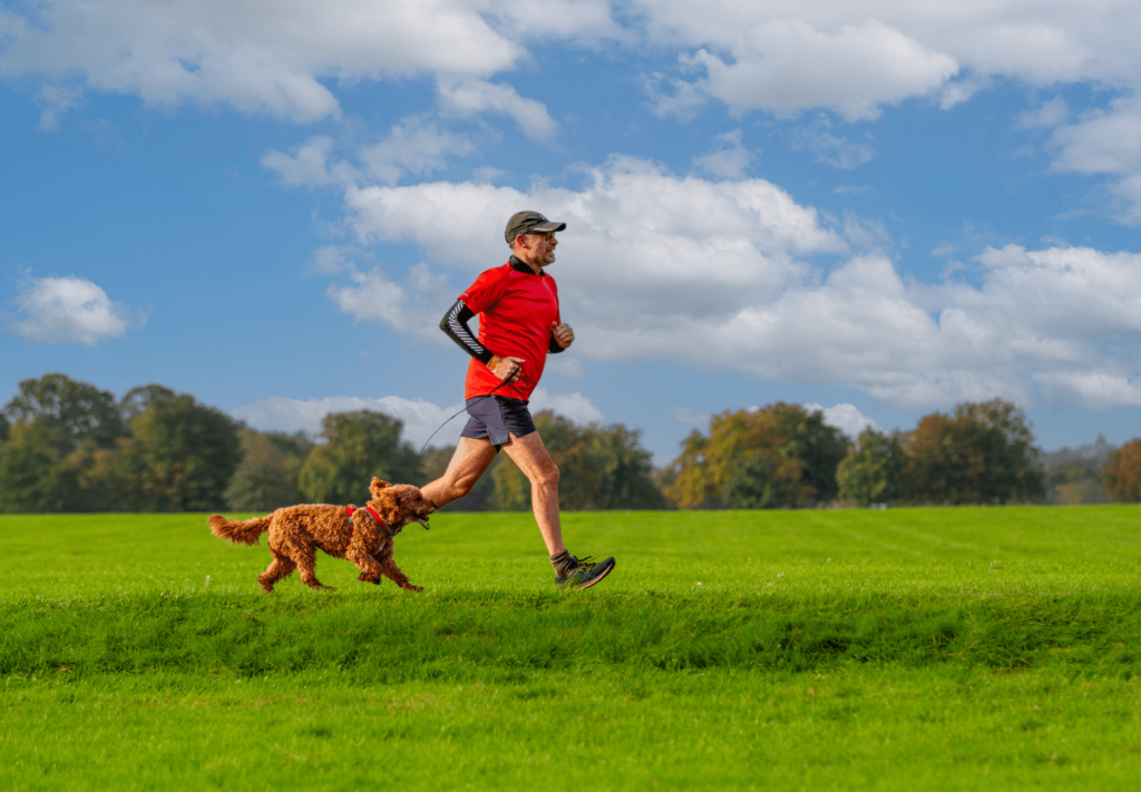 Passear com Cachorro, uma Alternativa de Exercício Leve para Corpo e Mente