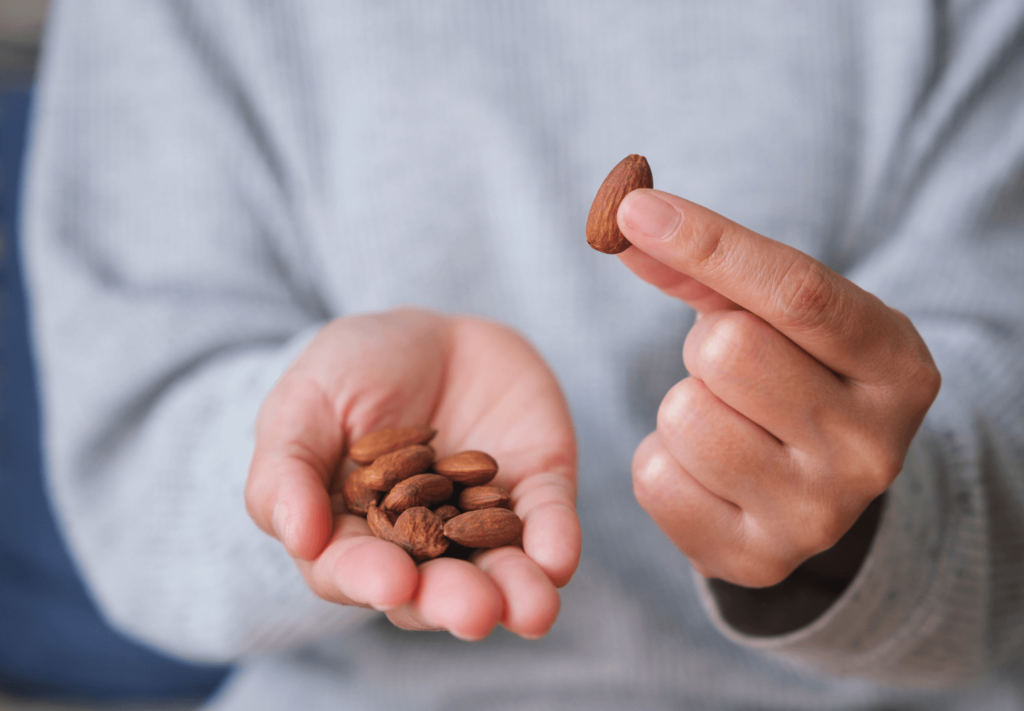 Guia Prático de Rotina de Alimentação Saudável para Transformar Seus Hábitos Diários