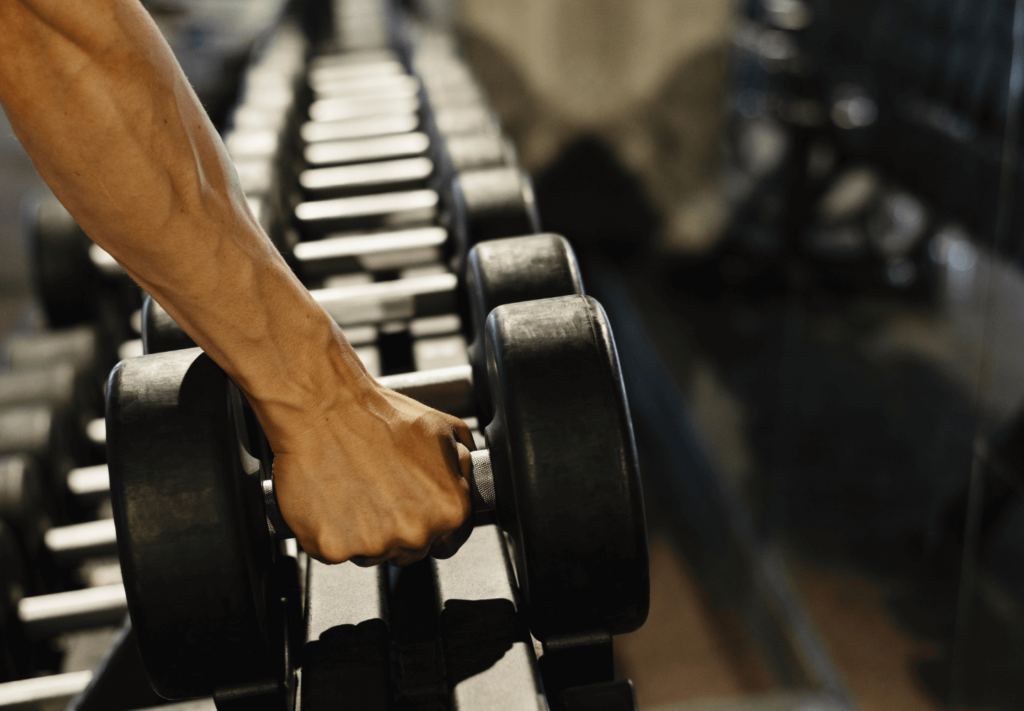 Memória Muscular: Como Funciona Este Poderoso Mecanismo do Nosso Corpo