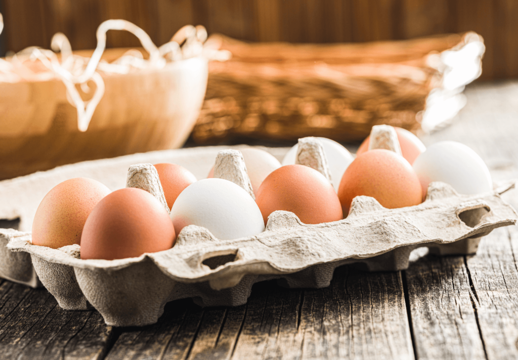 Veja como a dieta do ovo acelera o metabolismo, garante saciedade e auxilia na definição muscular. Um guia para bons resultados na academia.