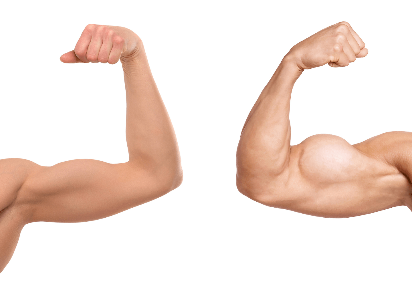 Acompanhe Suas Transformações Físicas com a Precisão do Fitmass Bioscan