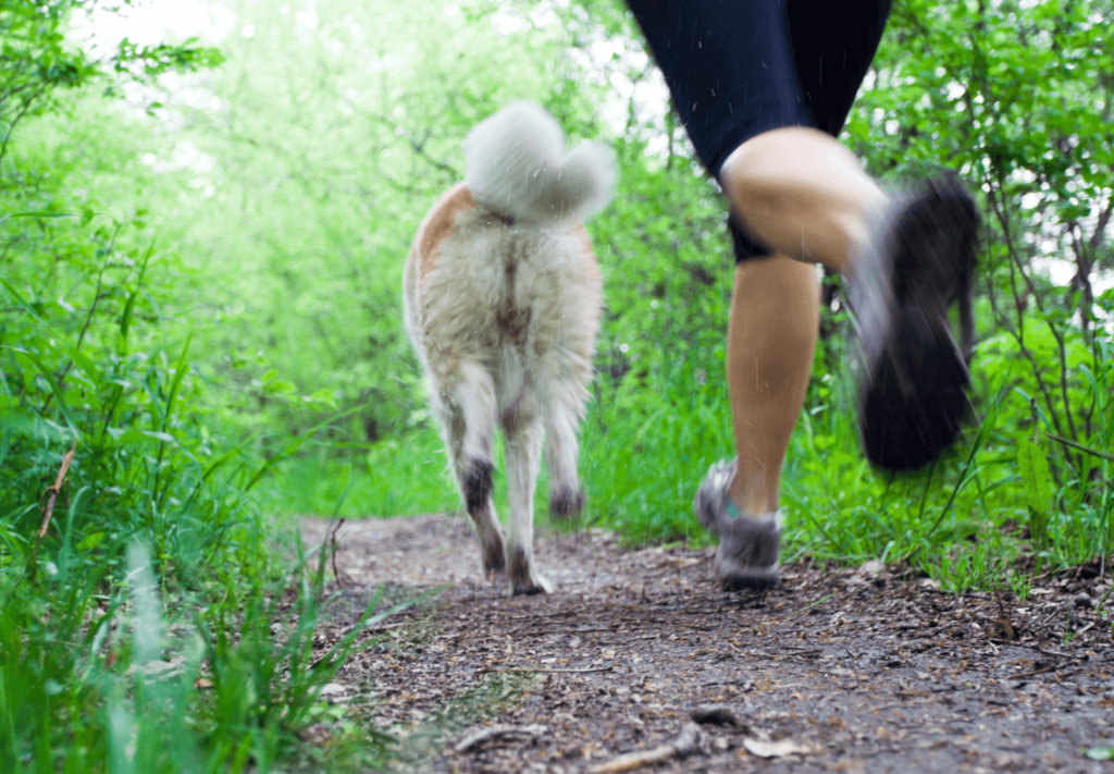 Passear com Cachorro, uma Alternativa de Exercício Leve para Corpo e Mente