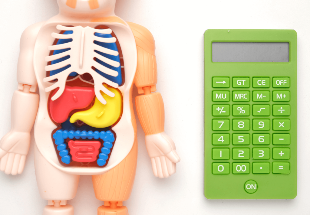 Como Calcular Minha Gordura Corporal com Precisão e os Riscos das Ferramentas Online