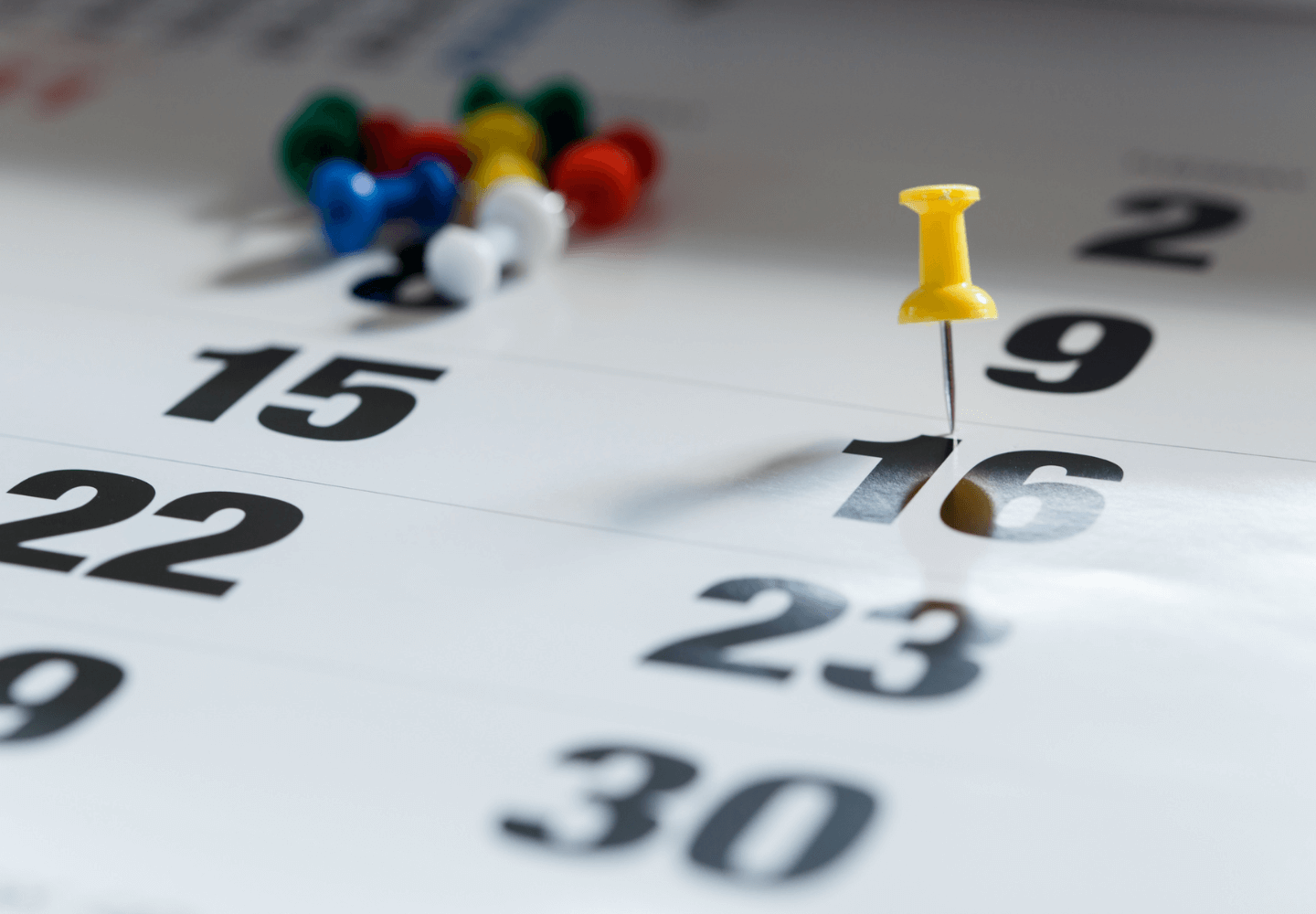 Muito Além da Estética: Como o Monitoramento Quinzenal Promove Saúde Real e Retém Alunos